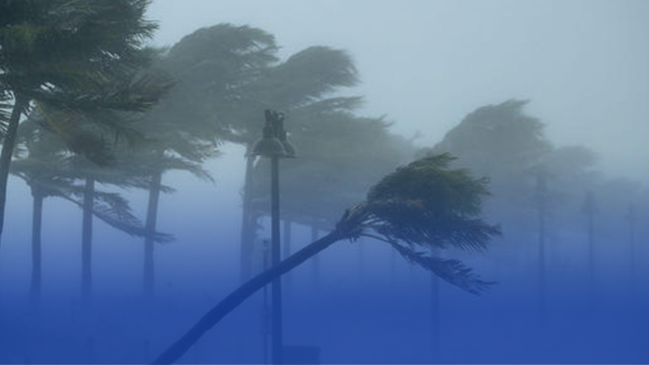 تقلبات جوية مرتقبة في مختلف ولايات الوطن خلال طقس نهار اليوم